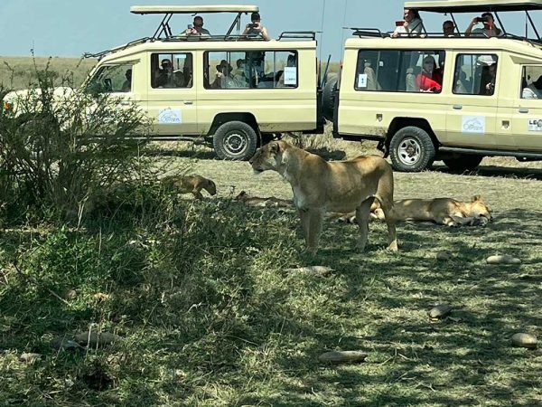 9N / 10D – African Wildlife Safari Tanzania