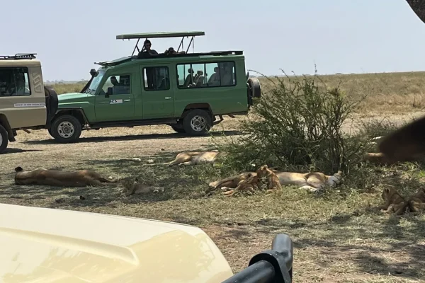 7N / 8D – African Wildlife Safari Tanzania